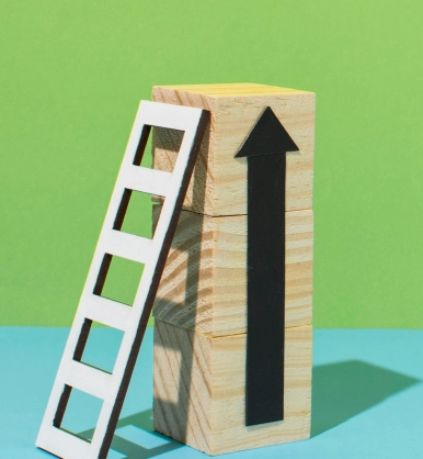 Consistent brand visuals supporting long-term growth