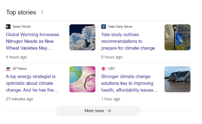 Example of Google News integration and headline visibility in digital marketing – DEMA Google News panel displaying top climate change headlines from outlets like Seed World, Yale Daily News, AP News, and CBC, used to illustrate content visibility and news indexing.