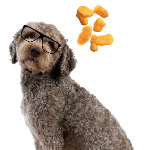 Kesten, Head of Snacks and Morale at DEMA Marketing